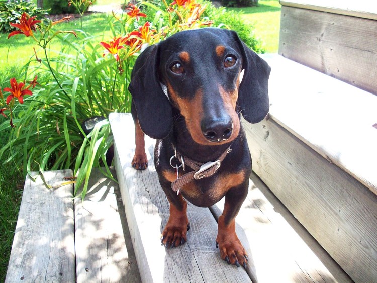 Окно автомобиля