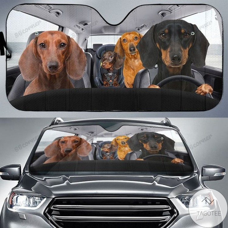 Такса селфи