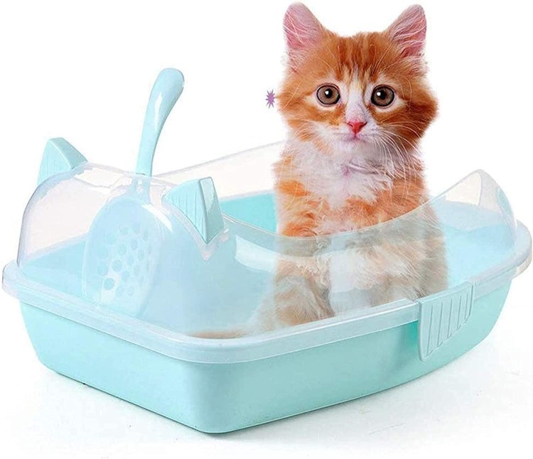 Лоток для котят