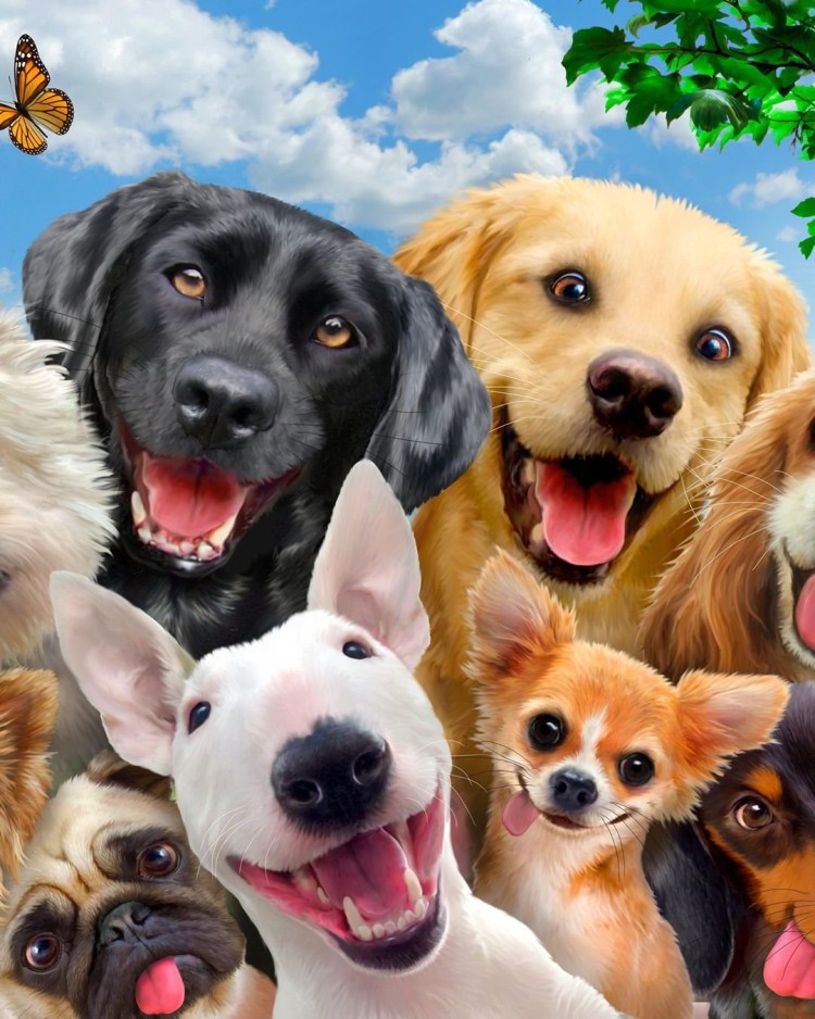 Несколько собак разных пород