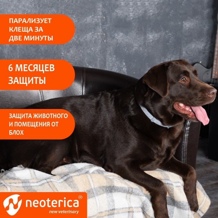 Ошейник Rolf 3d