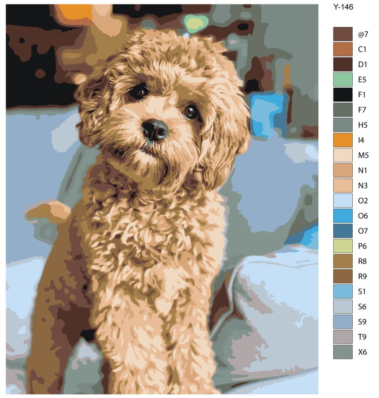 Той пудель мальтипу