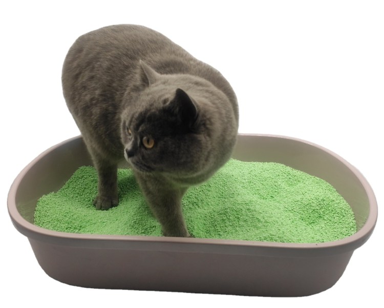 Рацион кормления собак натуральным кормом