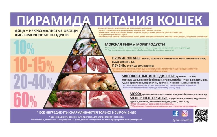 Влажный корм для кошек Gourmet натуральные