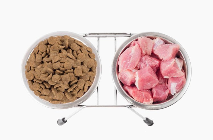 Еда для кошек