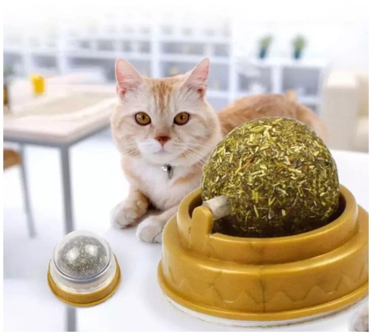 Best dinner High Premium курица