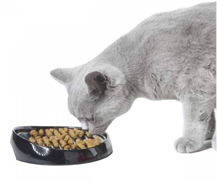 Японская мята для кошек