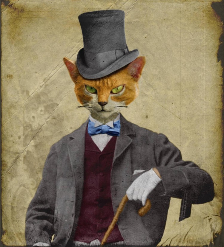 Кот с сигарой