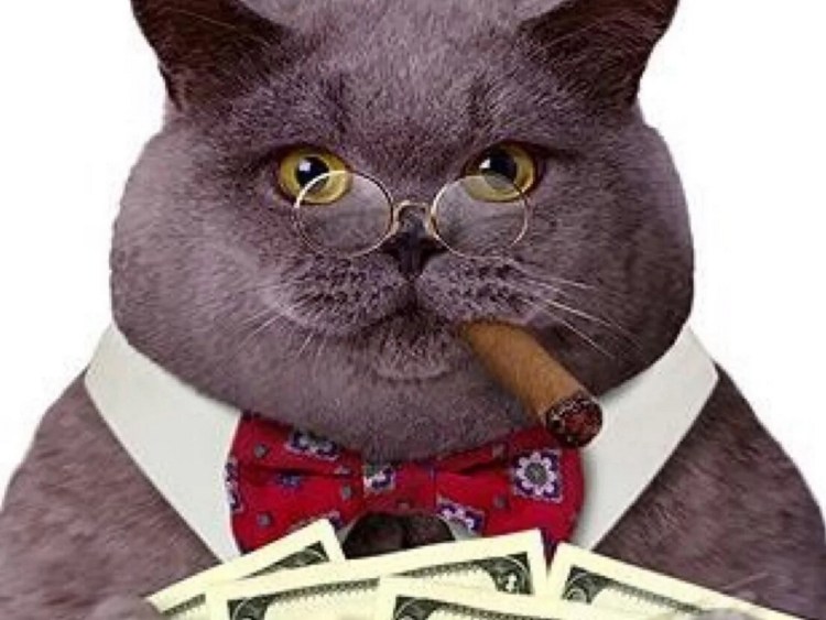 Художница Jenna Barton