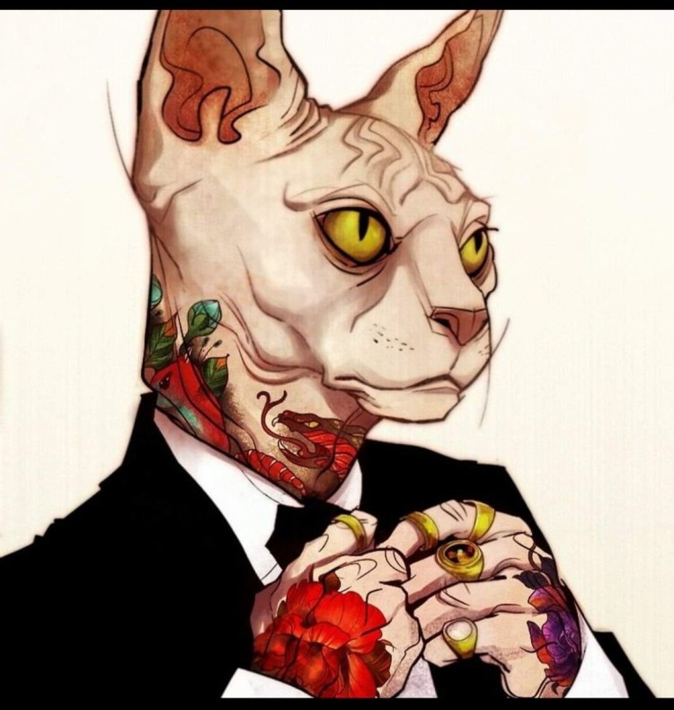 Костюм котенка