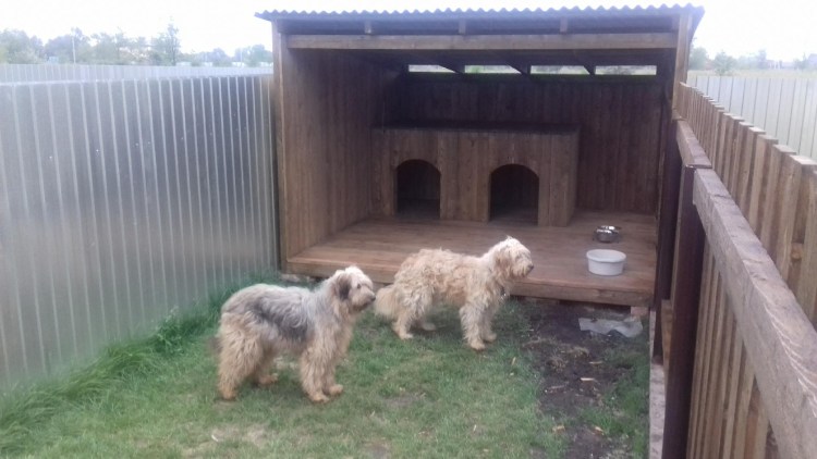 Вольер для собаки вдоль забора