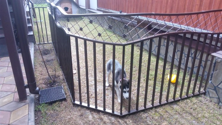 Вольер из ограждения Гранд лайн