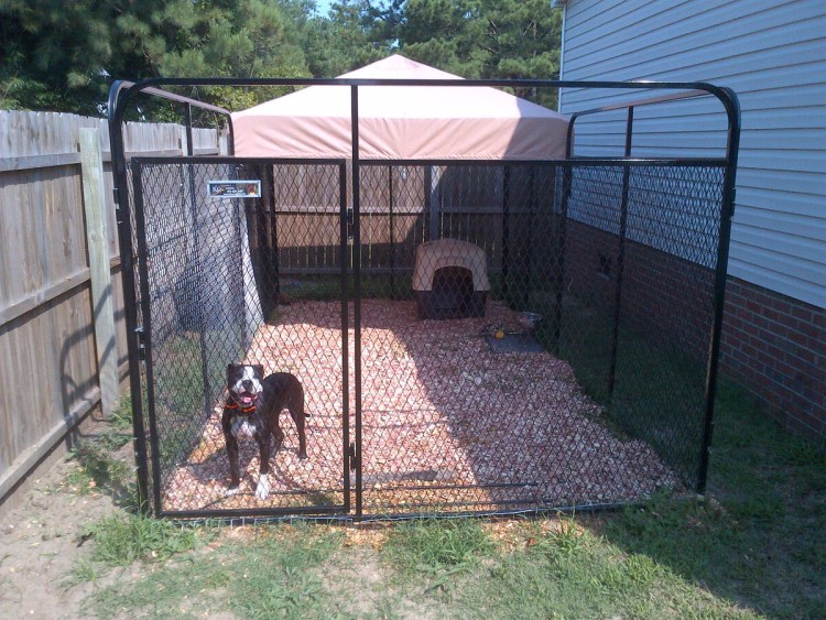Вольер для собаки с выгулом