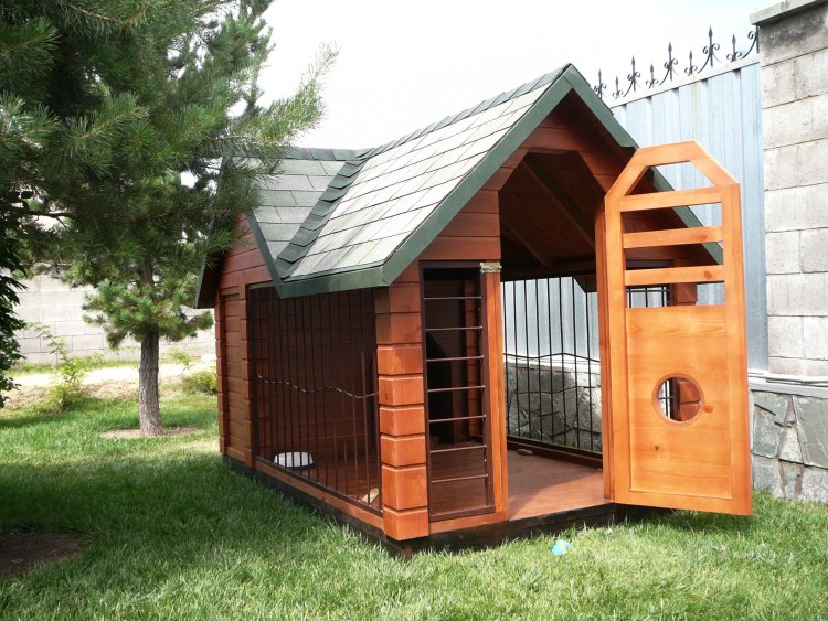 Вольер будка усадьба