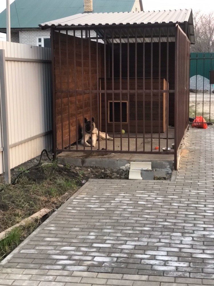 Вольер для собаки на участке