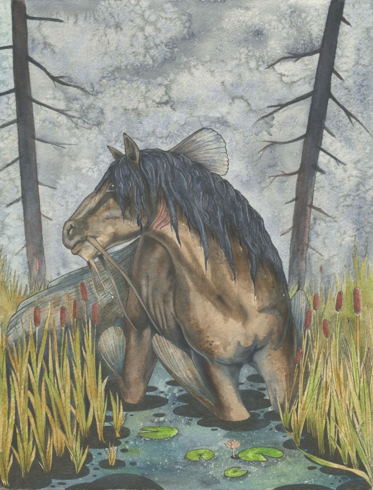 Келпи мифология эскизы