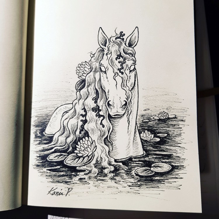 Овчарка келпи австралийская овчарка Келли