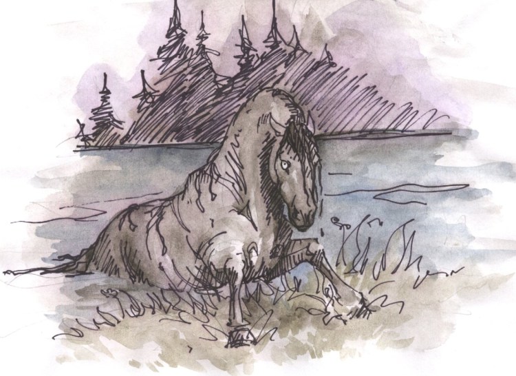 Шотландский келпи