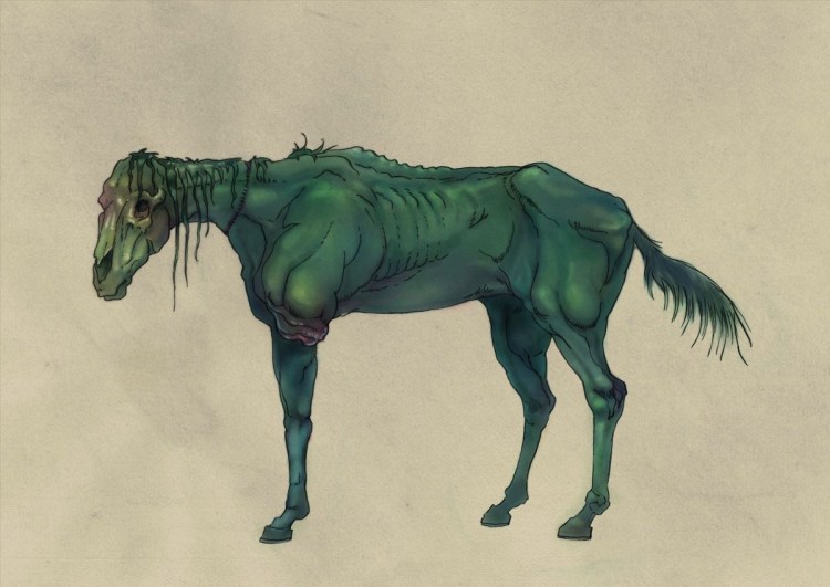 Лошадь Хельхест