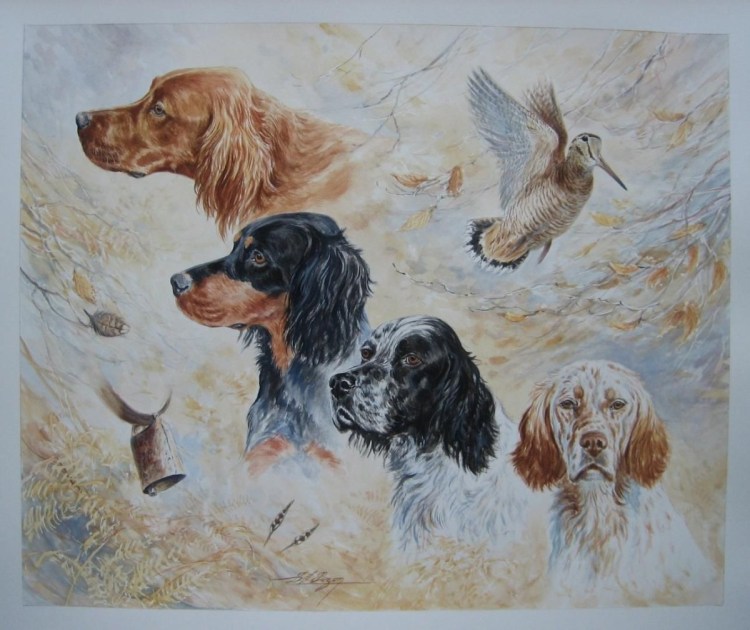 Шотландский сеттер-Гордон