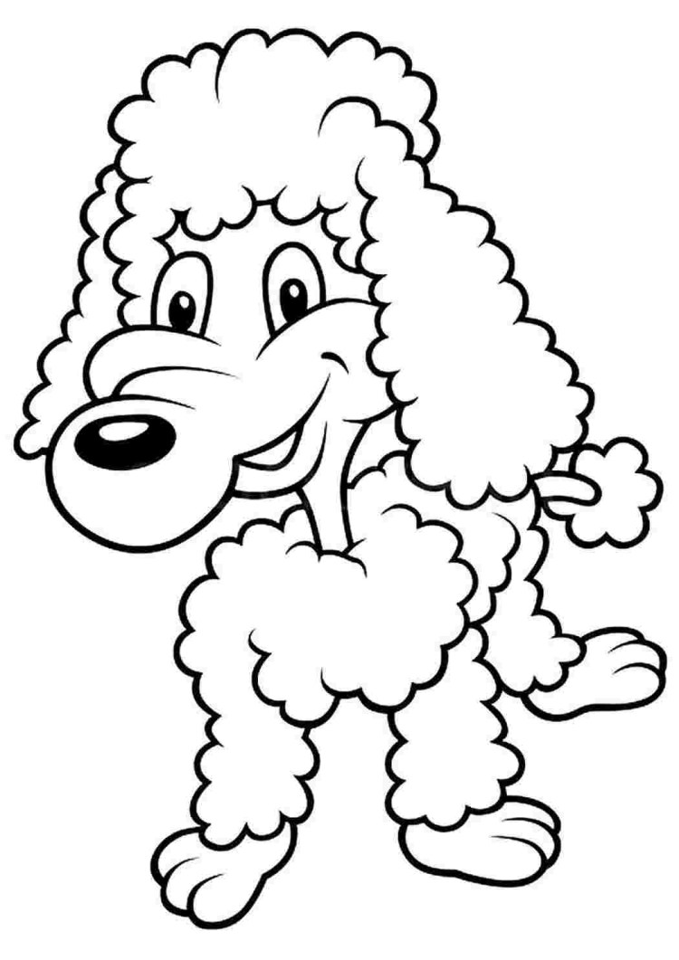 Черно-белая раскраска пуделя