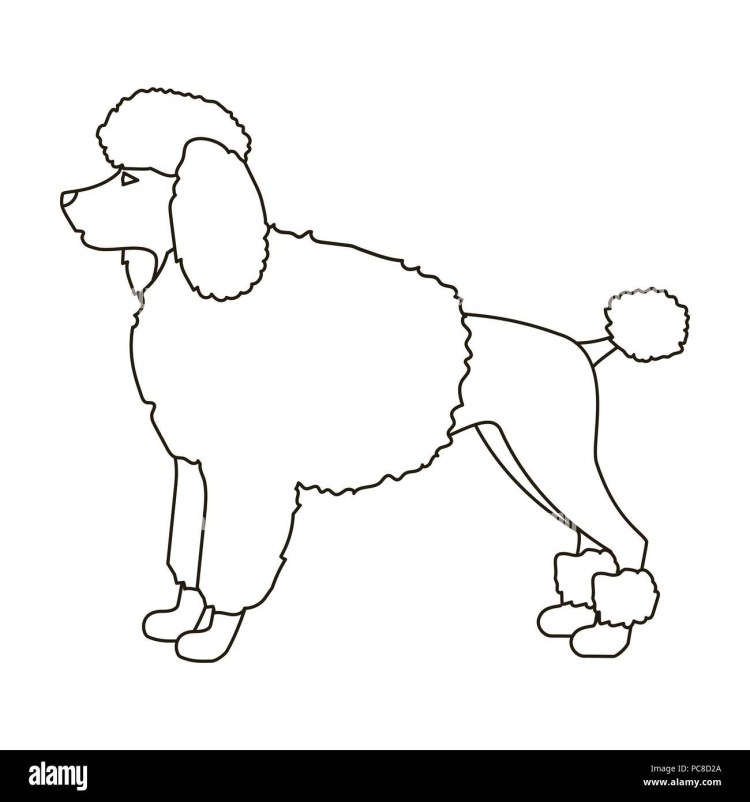 Трафарет пуделя для аппликации