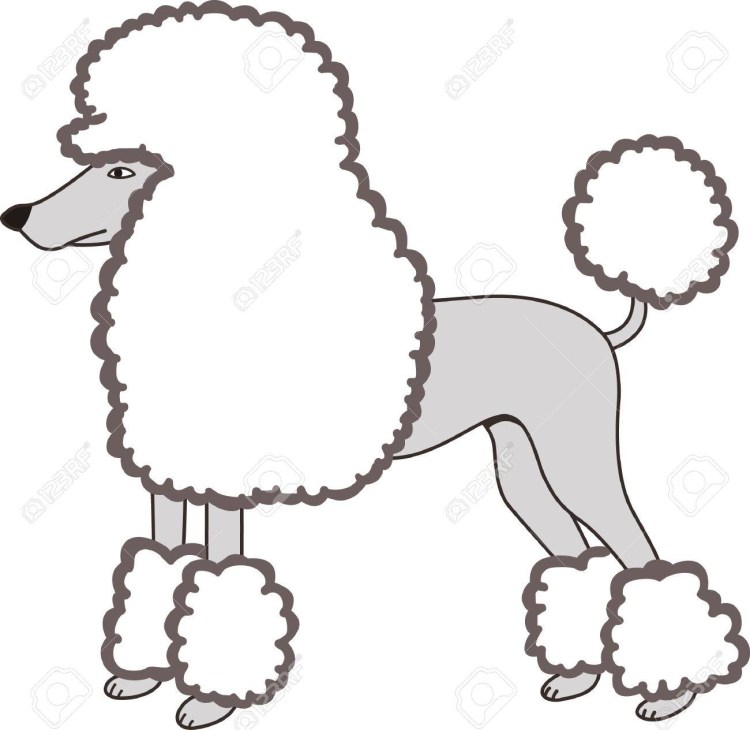 Трафарет пуделя для аппликации