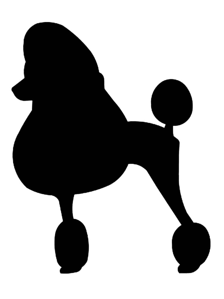 Силуэт пуделя