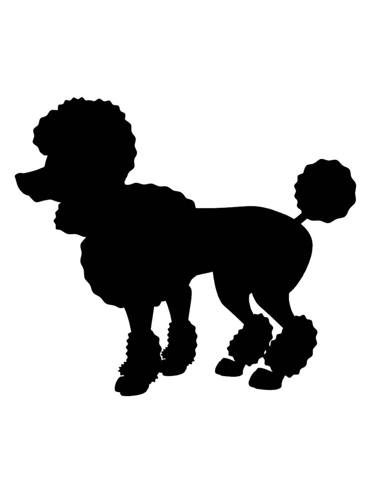 Силуэт пуделя