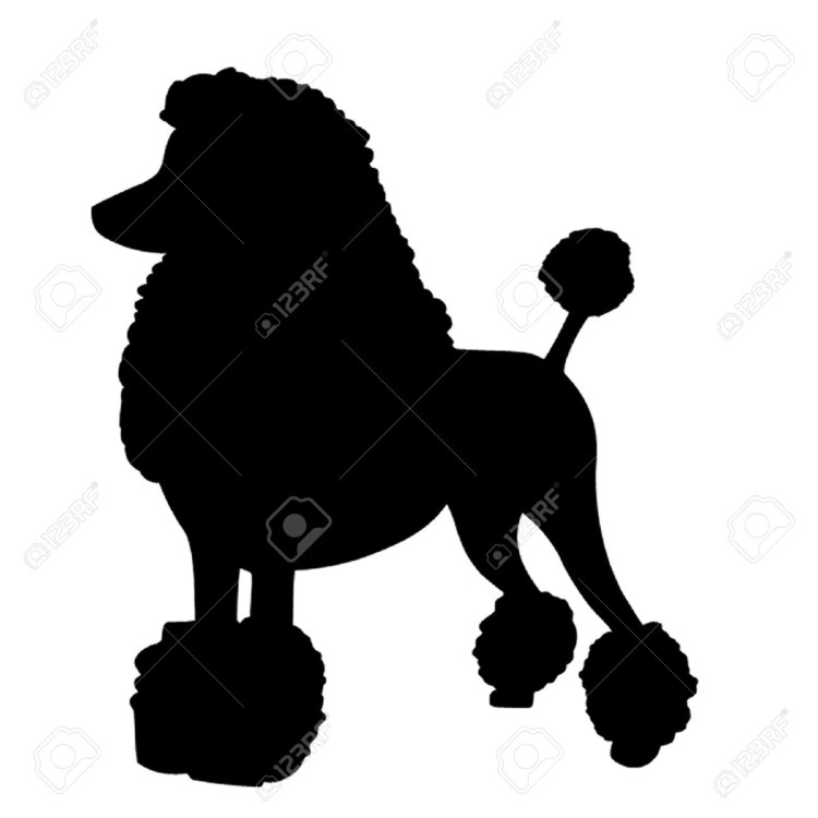 Пудель контур