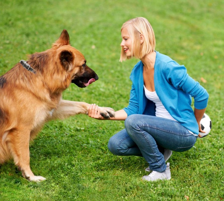 Дрессировщик собак