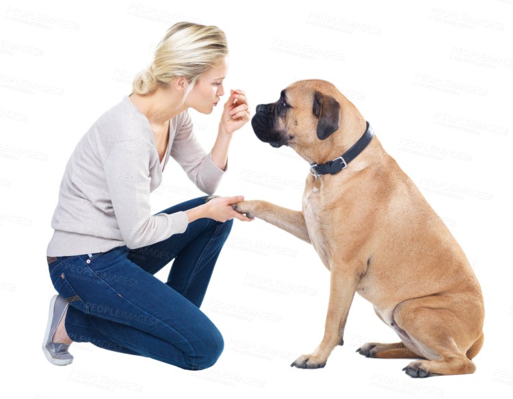 Женщина обучает собаку