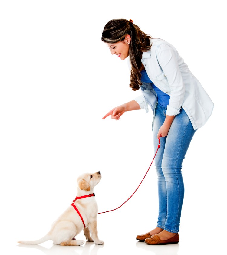 Женщина с собакой на поводке