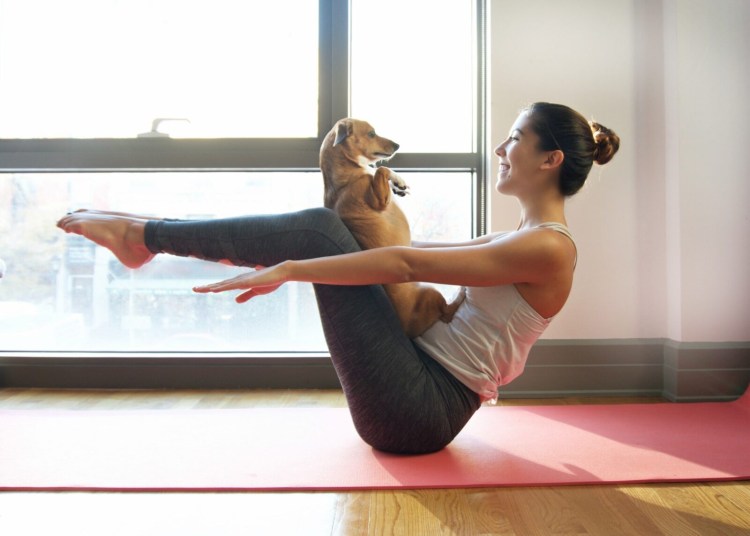 Асана собака мордой вверх