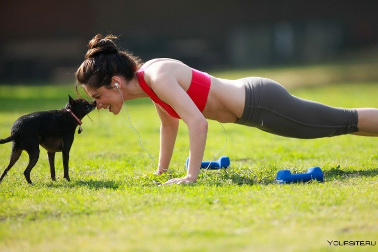 Человек на пробежке с собакой