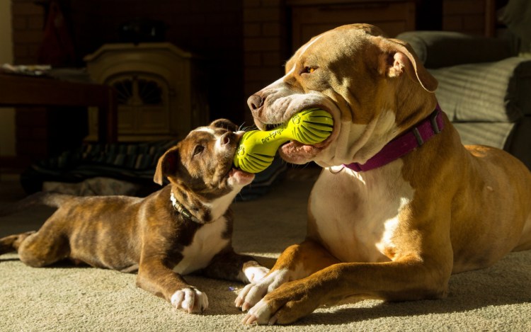 Приколы без надписей