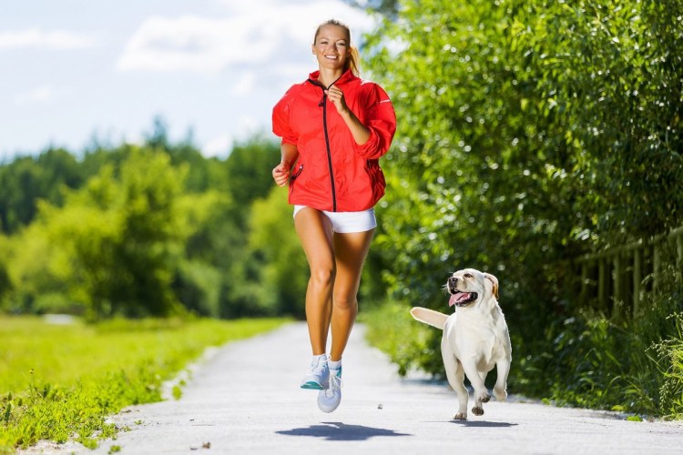 Смешные фотографии животных позы похожие на людей