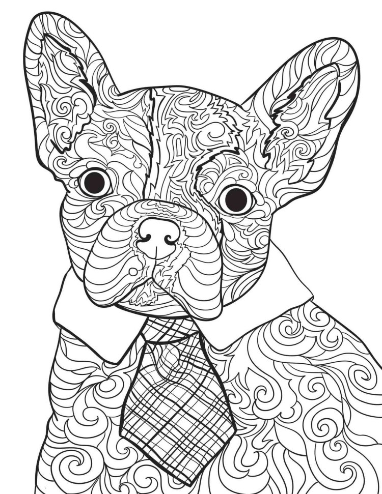 Раскраска собака для взрослых