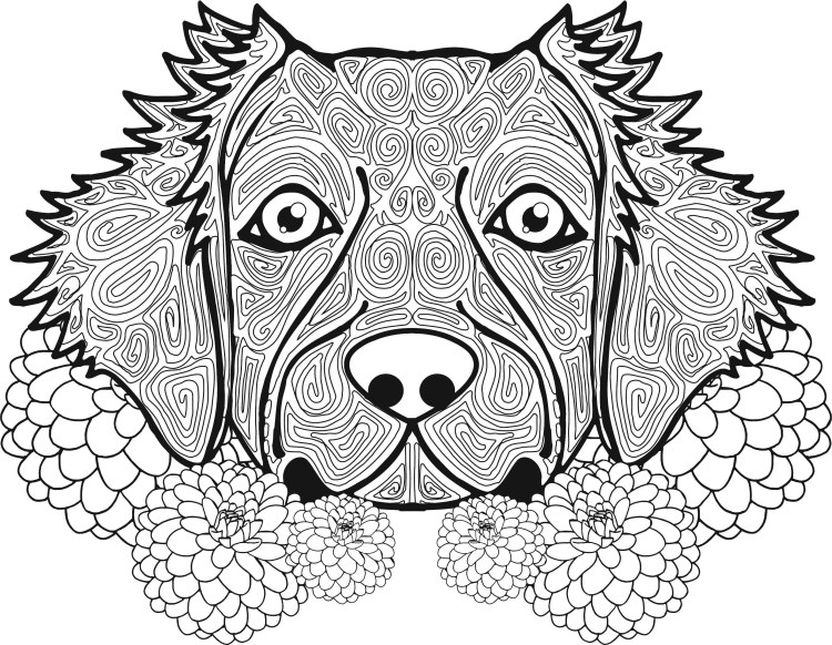 Раскраска-антистресс. Собака