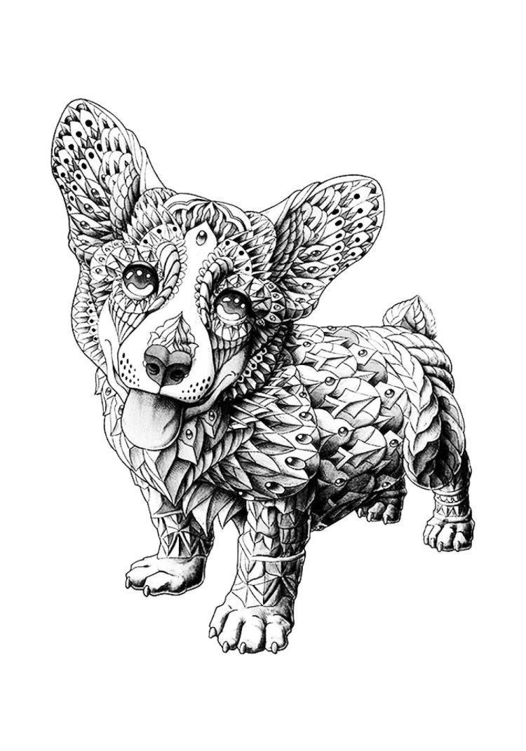 Чудики собаки Бондибон