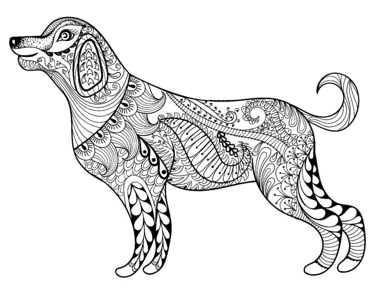 Раскраски антистресс собачки