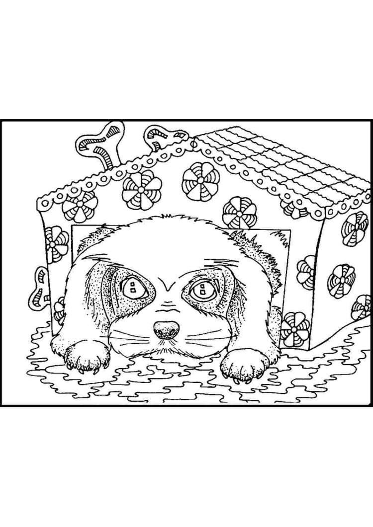 Раскраска-антистресс. Собака