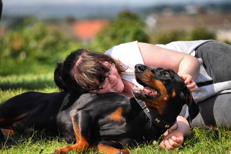 Ротвейлер и дети