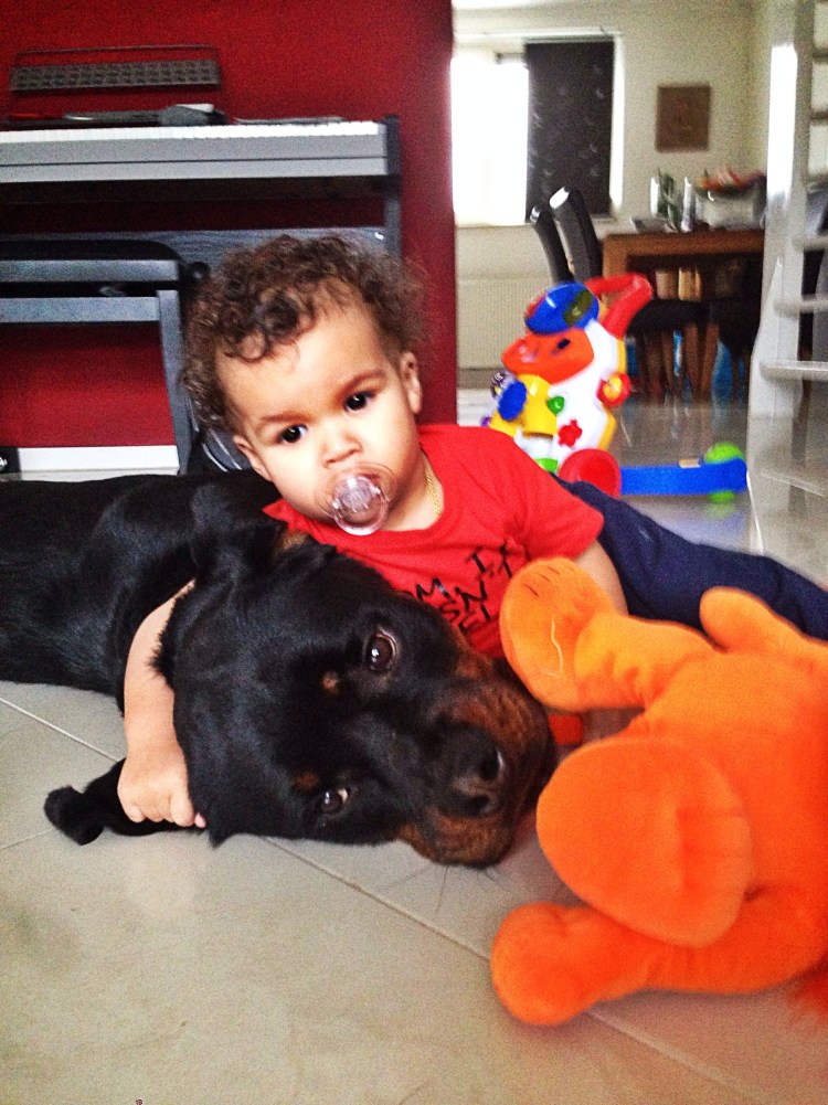 Симпатичные девочки маленькие с ротвейлером