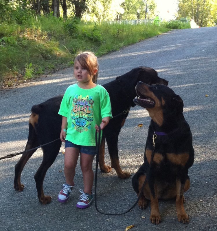 Ротвейлер Винни