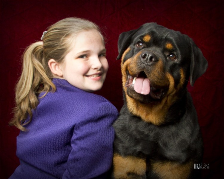 Ротвейлер и дети