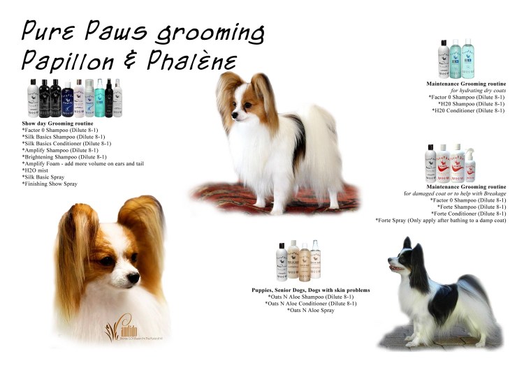 Папийон РКФ 6786560