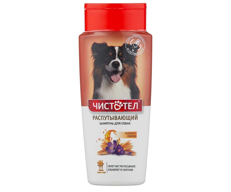 Папильон грумминг