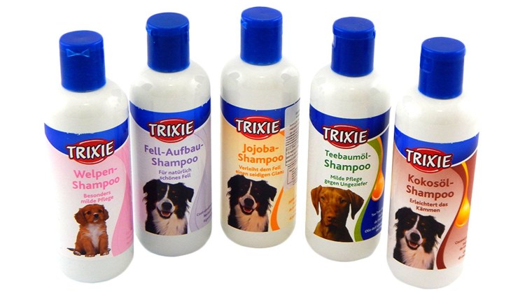 Купание собак с шампунем