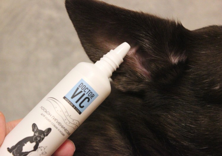 Лимфоэкстравазат ретривер